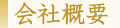 ЊTv